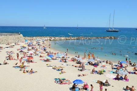 301-Studio Au Calme Entierement Renove Antibes Eksteriør billede